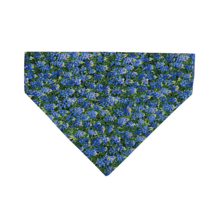 Bluebonnet Bandana