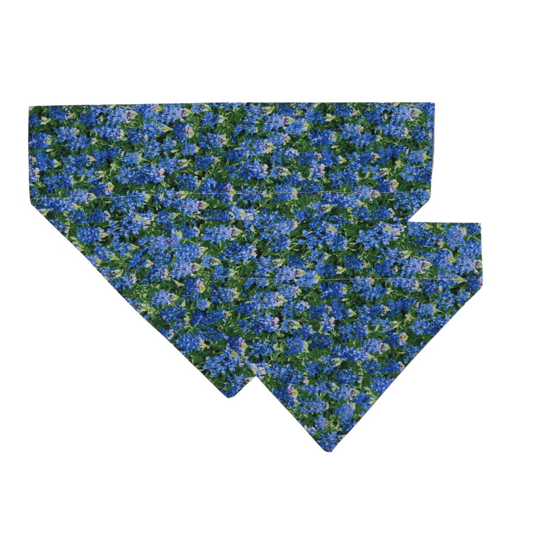 Bluebonnet Bandana