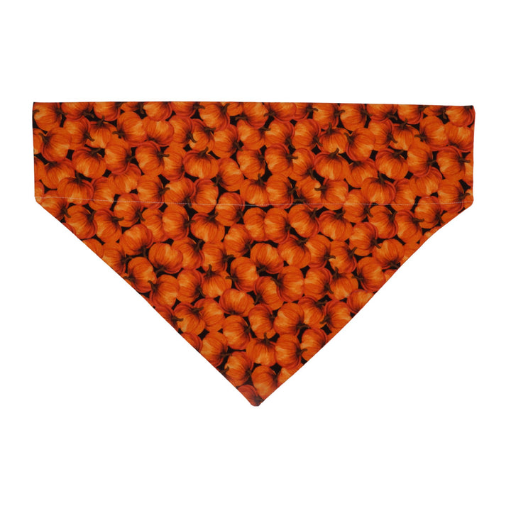 Pumpkin Bandana