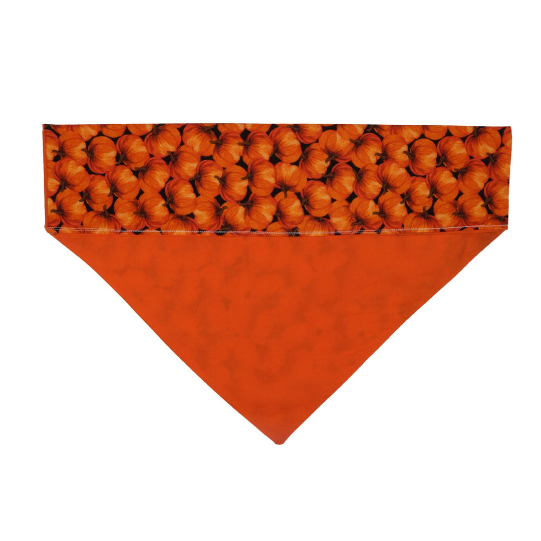 Pumpkin Bandana