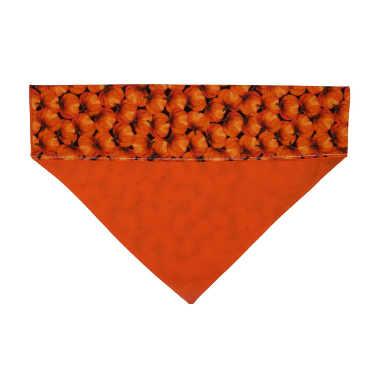 Pumpkin Bandana