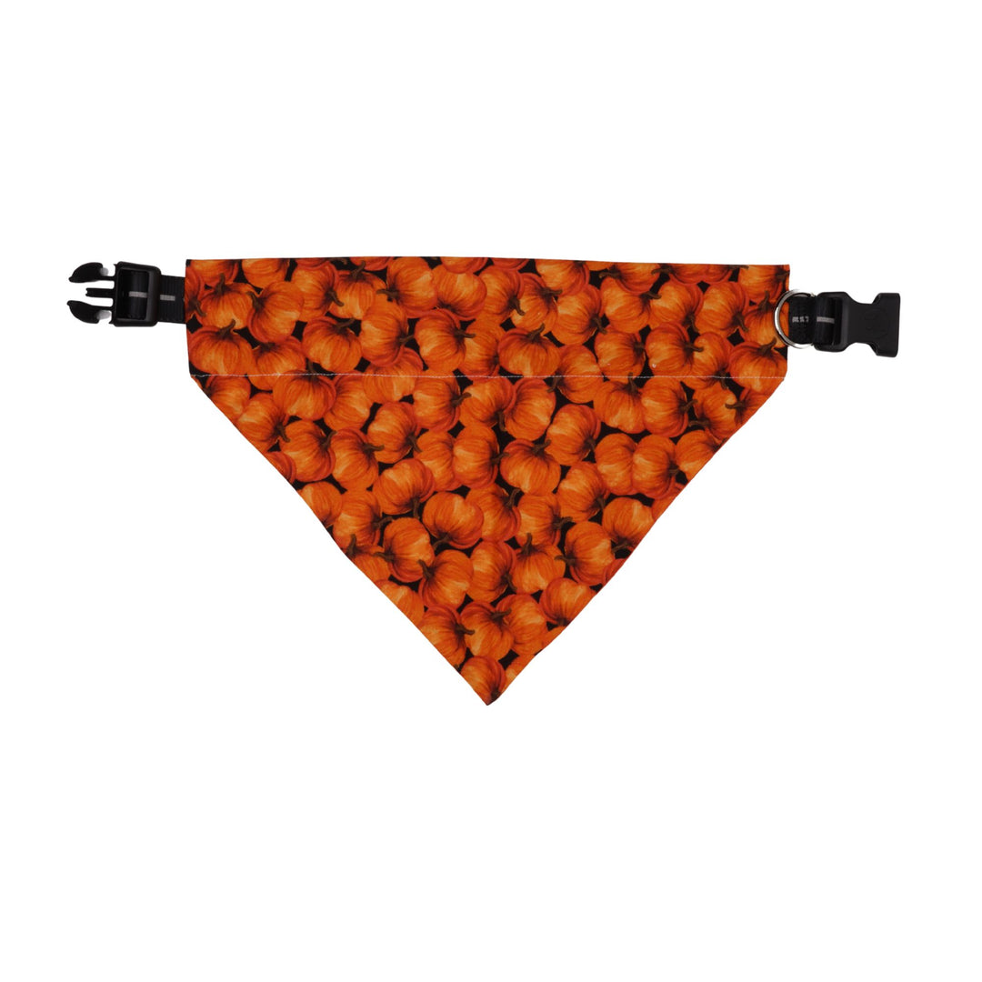 Pumpkin Bandana