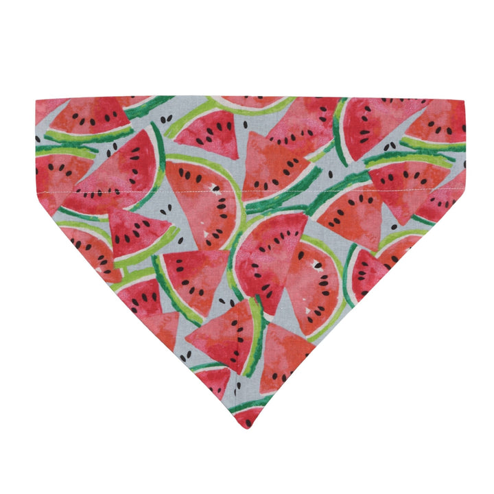 Watermelon Bandana